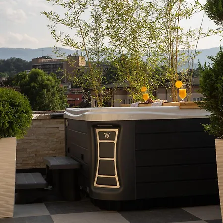 Vila Palas * Vrnjacka Banja