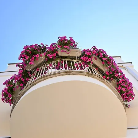 Vila Palas Apartament