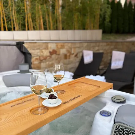 Vila Palas Vrnjačka Banja