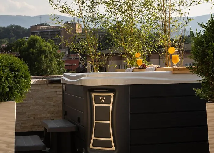 Vila Palas * Vrnjačka Banja