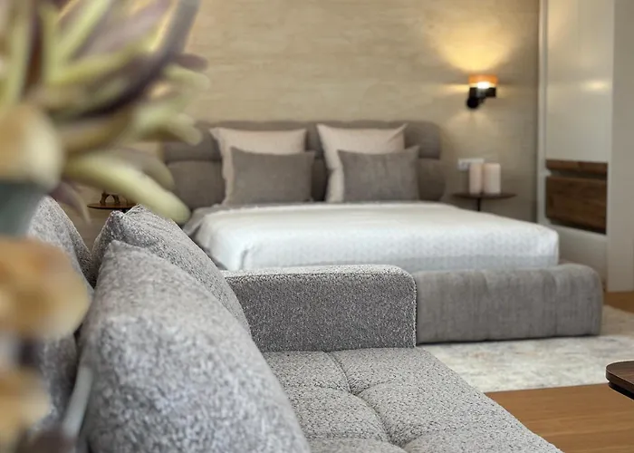 Vila Palas Vrnjačka Banja